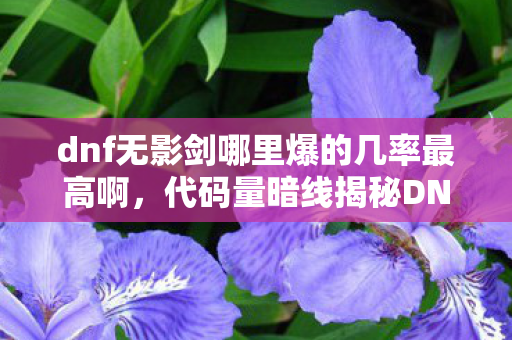dnf无影剑哪里爆的几率最高啊，代码量暗线揭秘DNF无影剑爆率地图头皮发麻实测！帮派指挥官的代码人生