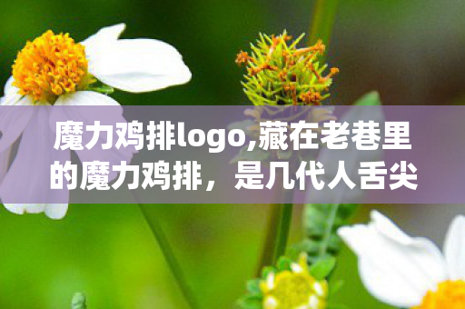 魔力鸡排logo,藏在老巷里的魔力鸡排,是几代人舌尖上的暖心念想 魔力鸡排logo,藏在老巷里的魔力鸡排,是几代人舌尖上的暖心念想