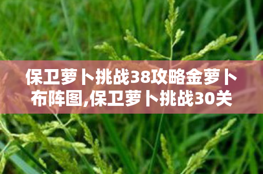 保卫萝卜挑战38攻略金萝卜布阵图,保卫萝卜挑战30关全流程金萝卜攻略 零失误布阵思路详解