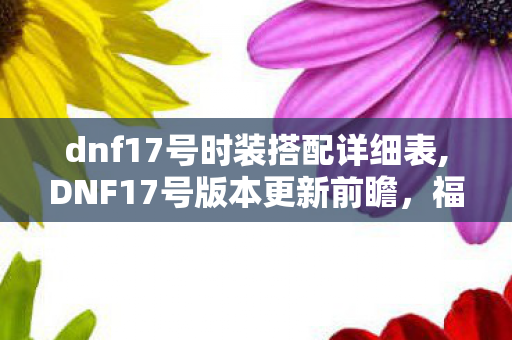dnf17号时装搭配详细表,DNF17号版本更新前瞻，福利优化与玩法迭代全梳理
