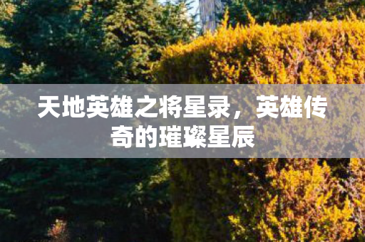 英雄传奇的璀璨星辰图片