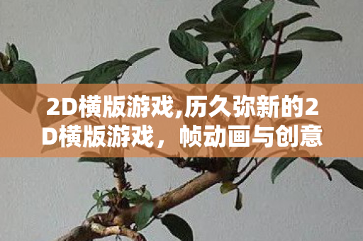 2D横版游戏,历久弥新的2D横版游戏，帧动画与创意交织的永恒乐园