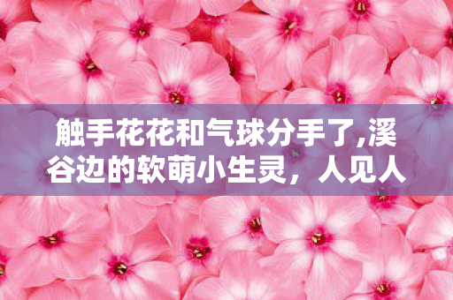 触手花花和气球分手了,溪谷边的软萌小生灵,人见人爱的触手花花 触手花花和气球分手了,溪谷边的软萌小生灵,人见人爱的触手花花