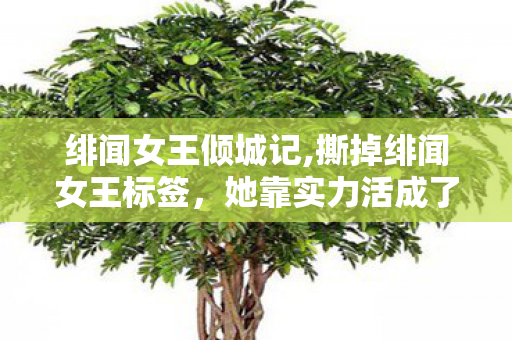 绯闻女王倾城记,撕掉绯闻女王标签,她靠实力活成了演艺圈的励志范本 绯闻女王倾城记,撕掉绯闻女王标签,她靠实力活成了演艺圈的励志范本