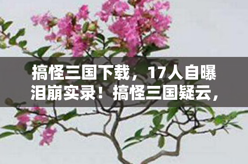 搞怪三国下载,17人自曝泪崩实录!搞怪三国疑云,这操作谁绷得住啊? 搞怪三国下载,17人自曝泪崩实录!搞怪三国疑云,这操作谁绷得住啊?