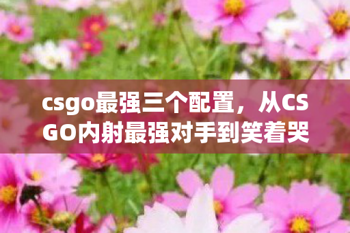 csgo最强三个配置,从CSGO内射最强对手到笑着哭,落差真相里,我终究是那个逃兵 csgo最强三个配置,从CSGO内射最强对手到笑着哭,落差真相里,我终究是那个逃兵