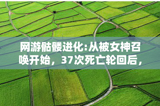 网游骷髅进化:从被女神召唤开始,37次死亡轮回后,我发现了骷髅进化隐藏的终极真相 网游骷髅进化:从被女神召唤开始,37次死亡轮回后,我发现了骷髅进化隐藏的终极真相