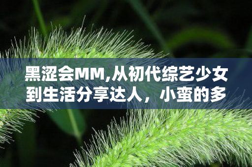 黑涩会MM,从初代综艺少女到生活分享达人,小蛮的多元成长轨迹 黑涩会MM,从初代综艺少女到生活分享达人,小蛮的多元成长轨迹