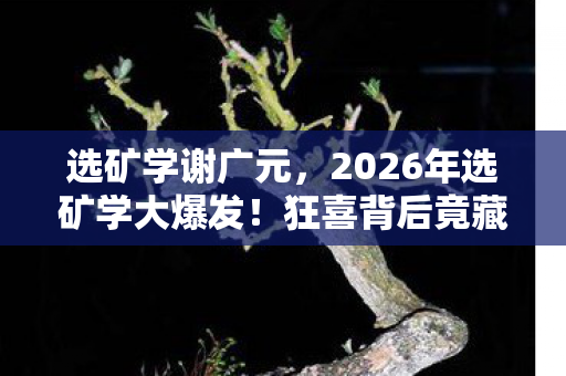 选矿学谢广元,2026年选矿学大爆发!狂喜背后竟藏着颠覆认知的惊天秘密? 选矿学谢广元,2026年选矿学大爆发!狂喜背后竟藏着颠覆认知的惊天秘密?