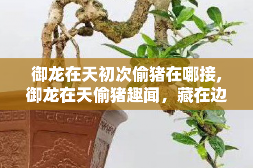 御龙在天初次偷猪在哪接,御龙在天偷猪趣闻,藏在边境风烟里的青春日常 御龙在天初次偷猪在哪接,御龙在天偷猪趣闻,藏在边境风烟里的青春日常