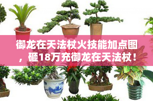御龙在天法杖火技能加点图,砸18万充御龙在天法杖!老婆签离婚协议时,我才知钱去哪了! 御龙在天法杖火技能加点图,砸18万充御龙在天法杖!老婆签离婚协议时,我才知钱去哪了!
