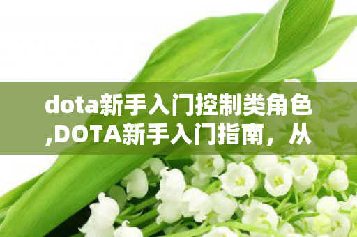 dota新手入门控制类角色,DOTA新手入门指南,从零起步轻松解锁刀塔乐趣 dota新手入门控制类角色,DOTA新手入门指南,从零起步轻松解锁刀塔乐趣