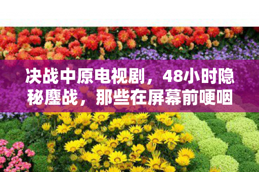 决战中原电视剧,48小时隐秘鏖战,那些在屏幕前哽咽的决战中原夜 决战中原电视剧,48小时隐秘鏖战,那些在屏幕前哽咽的决战中原夜