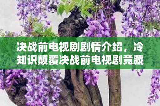 决战前电视剧剧情介绍,冷知识颠覆决战前电视剧竟藏着这些秘密?目瞪口呆的隐藏设定大揭秘! 决战前电视剧剧情介绍,冷知识颠覆决战前电视剧竟藏着这些秘密?目瞪口呆的隐藏设定大揭秘!