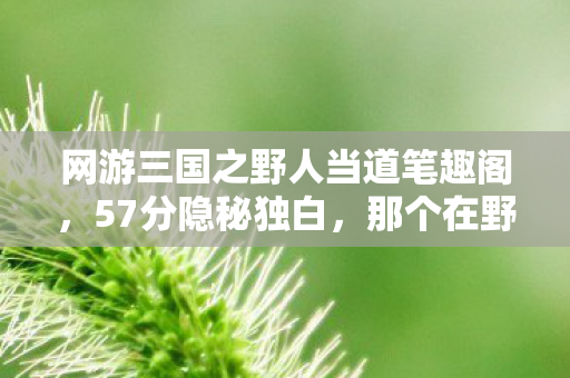 网游三国之野人当道笔趣阁,57分隐秘独白,那个在野人区哽咽着通关的深夜 网游三国之野人当道笔趣阁,57分隐秘独白,那个在野人区哽咽着通关的深夜