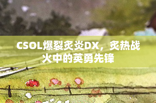 CSOL爆裂炙炎DX图片