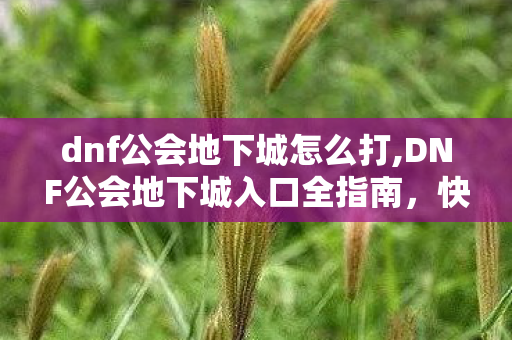dnf公会地下城怎么打,DNF公会地下城入口全指南,快速找到专属副本的实用技巧 dnf公会地下城怎么打,DNF公会地下城入口全指南,快速找到专属副本的实用技巧