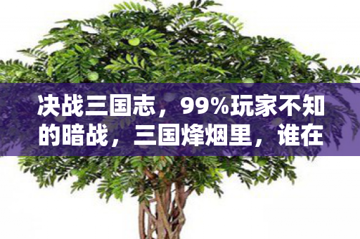 决战三国志,99%玩家不知的暗战,三国烽烟里,谁在收割你的热血与孤独? 决战三国志,99%玩家不知的暗战,三国烽烟里,谁在收割你的热血与孤独?
