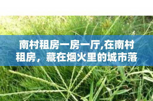 南村租房一房一厅,在南村租房,藏在烟火里的城市落脚地 南村租房一房一厅,在南村租房,藏在烟火里的城市落脚地