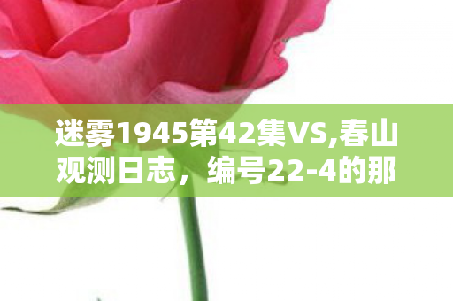 迷雾1945第42集VS,春山观测日志,编号22-4的那场山雾 迷雾1945第42集VS,春山观测日志,编号22-4的那场山雾