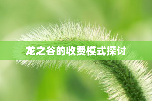 龙之谷的收费模式探讨图片