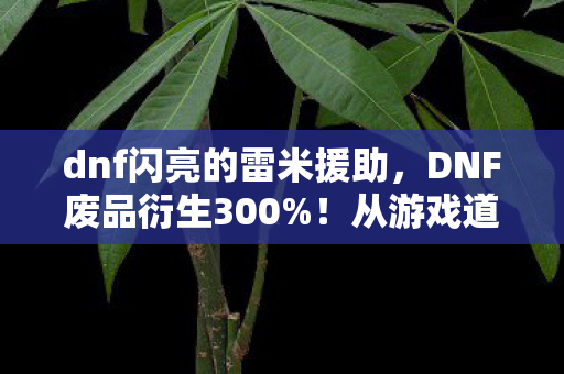 dnf闪亮的雷米援助，DNF废品衍生300%！从游戏道具到破圈顶流，这波操作意想不到！