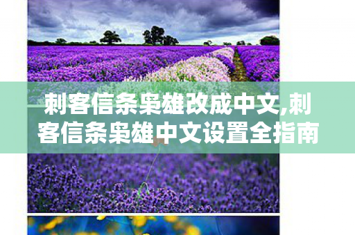刺客信条枭雄改成中文,刺客信条枭雄中文设置全指南 轻松解锁沉浸式游戏体验