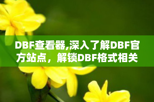 DBF查看器,深入了解DBF官方站点，解锁DBF格式相关服务的全场景实用价值