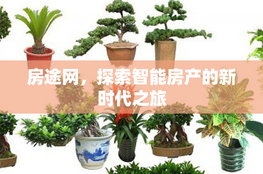 探索智能房产的新时代之旅图片