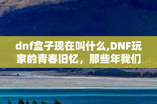 dnf盒子现在叫什么,DNF玩家的青春旧忆，那些年我们用过的dnfhezi