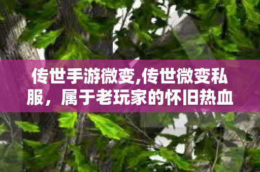 传世手游微变,传世微变私服,属于老玩家的怀旧热血乐园 传世手游微变,传世微变私服,属于老玩家的怀旧热血乐园