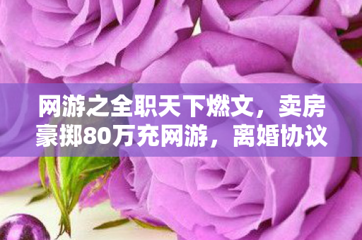 网游之全职天下燃文,卖房豪掷80万充网游,离婚协议藏隐情,妻子举动吓一跳! 网游之全职天下燃文,卖房豪掷80万充网游,离婚协议藏隐情,妻子举动吓一跳!