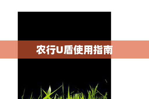 农行U盾使用指南图片