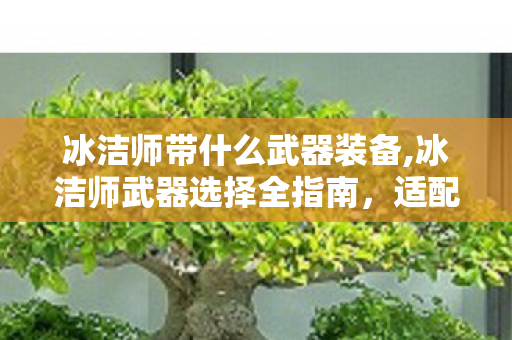 冰洁师带什么武器装备,冰洁师武器选择全指南，适配不同阶段的最优搭配思路