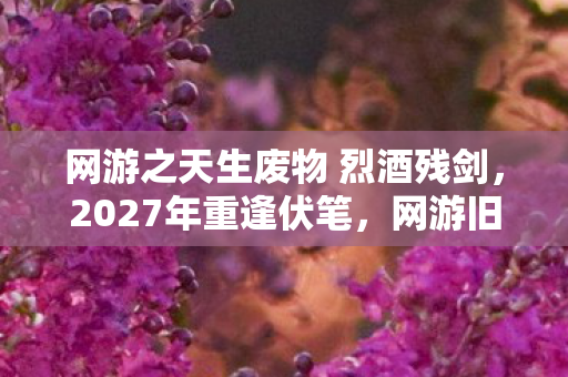 网游之天生废物 烈酒残剑,2027年重逢伏笔,网游旧情如刀,鼻子一酸忆往昔 网游之天生废物 烈酒残剑,2027年重逢伏笔,网游旧情如刀,鼻子一酸忆往昔