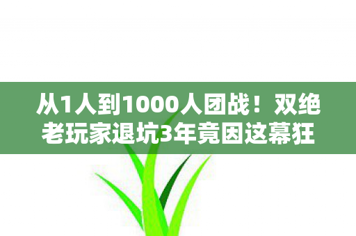 从1人到1000人团战!双绝老玩家退坑3年竟因这幕狂回! 从1人到1000人团战!双绝老玩家退坑3年竟因这幕狂回!