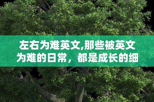 左右为难英文,那些被英文为难的日常，都是成长的细碎注脚