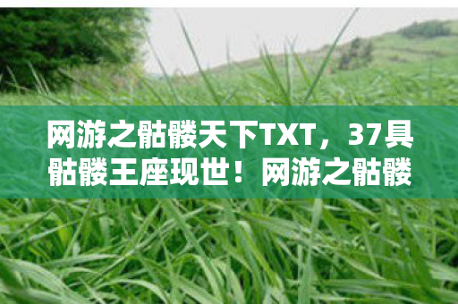 网游之骷髅天下TXT,37具骷髅王座现世!网游之骷髅天下隐藏剧情竟藏惊天阴谋 网游之骷髅天下TXT,37具骷髅王座现世!网游之骷髅天下隐藏剧情竟藏惊天阴谋