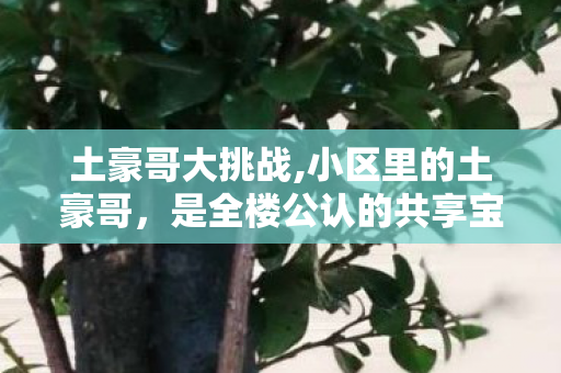 土豪哥大挑战,小区里的土豪哥,是全楼公认的共享宝藏 土豪哥大挑战,小区里的土豪哥,是全楼公认的共享宝藏