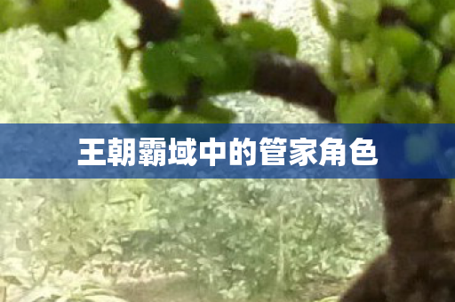 王朝霸域中的管家角色图片