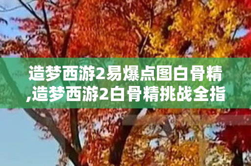 造梦西游2易爆点图白骨精,造梦西游2白骨精挑战全指南，高效刷取资源的实用技巧