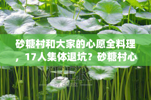砂糖村和大家的心愿全料理,17人集体退坑?砂糖村心愿单暗藏死亡flag!老炮,这波我直接绷不住 砂糖村和大家的心愿全料理,17人集体退坑?砂糖村心愿单暗藏死亡flag!老炮,这波我直接绷不住