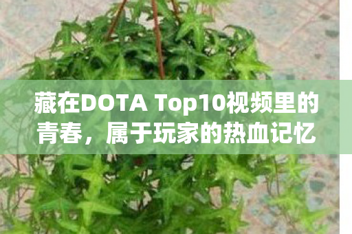 藏在DOTA Top10视频里的青春，属于玩家的热血记忆