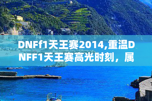 DNFf1天王赛2014,重温DNFF1天王赛高光时刻,属于格斗玩家的热血集体记忆 DNFf1天王赛2014,重温DNFF1天王赛高光时刻,属于格斗玩家的热血集体记忆