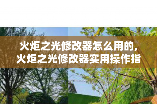 火炬之光修改器怎么用的,火炬之光修改器实用操作指南 轻松优化单机游玩体验