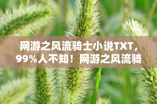网游之风流骑士小说TXT，99%人不知！网游之风流骑士沉浸体验竟藏着这等惊天反转！