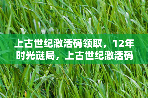 上古世纪激活码领取,12年时光谜局,上古世纪激活码背后的泪目征程 上古世纪激活码领取,12年时光谜局,上古世纪激活码背后的泪目征程