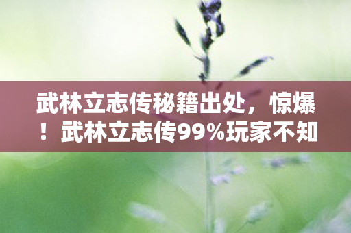 武林立志传秘籍出处,惊爆!武林立志传99%玩家不知的3大秘籍,你离巅峰只差一步? 武林立志传秘籍出处,惊爆!武林立志传99%玩家不知的3大秘籍,你离巅峰只差一步?