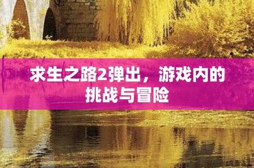 游戏内的挑战与冒险图片