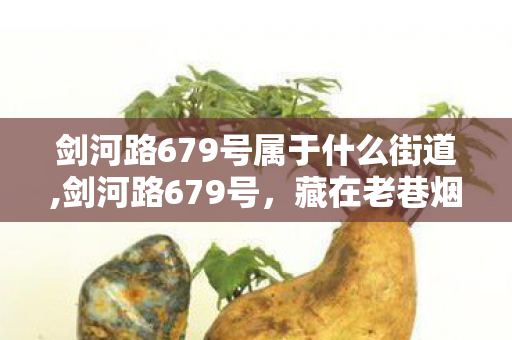 剑河路679号属于什么街道,剑河路679号，藏在老巷烟火里的旧时光坐标